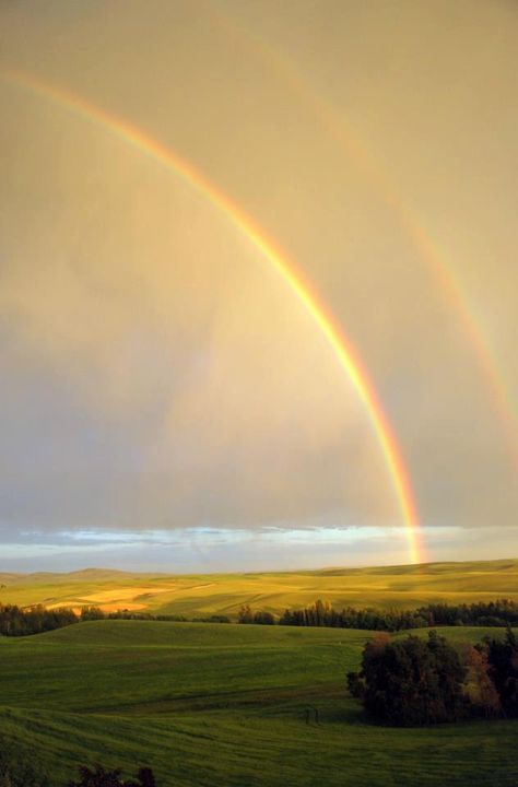 Pullman, WA Kaicore Aesthetic, Rainbow After Storm, May Vibes, Rainbows In The Sky, Rainbows And Sunshine, Alchemist Book, Rainbow After The Storm, Rainbow Pictures, Rainbow Photography