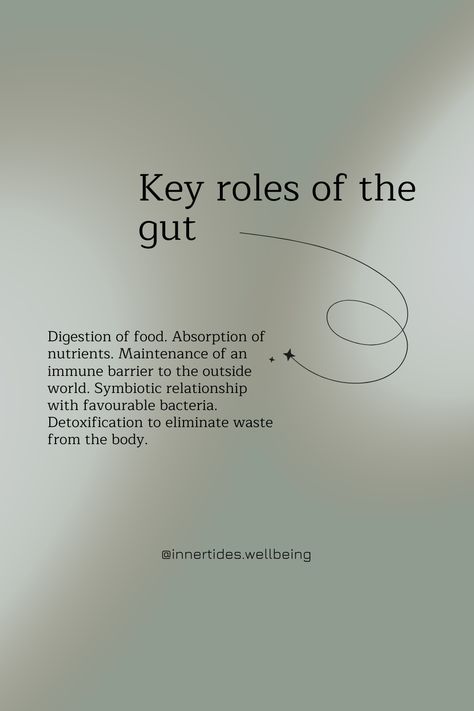 1. Digestion of food 2. Absorption of nutrients 3. Maintenance of an immune barrier to the outside world 4. Symbiotic relationship with favourable bacteria 5. Detoxification to eliminate waste from the body   #guthealth #healthygut #naturopath #familynaturopath #health #wellness #wellbeing Gut Reset, Chiropractic Marketing, Food For Digestion, Fat Freezing, Gut Brain, Family Wellness, Beauty Therapy, Healthy Gut, Content Ideas