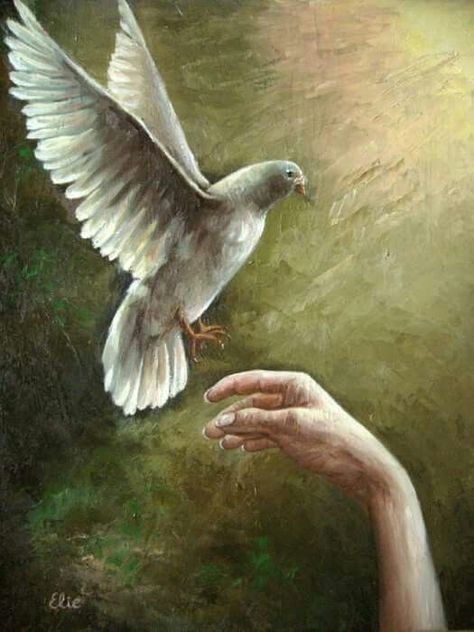 ♥️by ELIE Dove Painting, Dove Pictures, Anointing Oil, Birds In The Sky, Rennaissance Art, Christian Artwork, Religious Paintings, Religious Painting, Pictures Of Jesus Christ