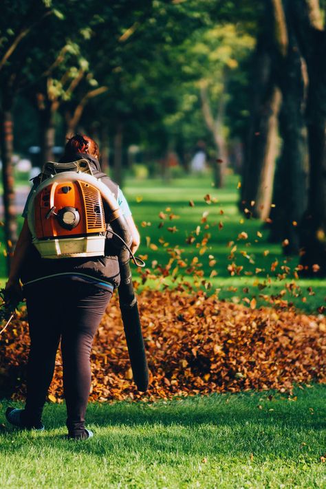 Leaf Removal, leaf blowing, leaf blower Bedroom Planner, Remove Lint, Leaf Blower, Step Guide, Step By Step, Yard