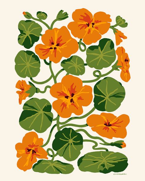 Nasturtiums I Print Bright Colorful Art Prints, Retro Plant Illustration, Floral Print Art, Art Print Decor, Vintage Gardening Illustration, Nasturtium Photography, Pot Plant Illustration, Eclectic Wall Prints, Bright Prints For Walls