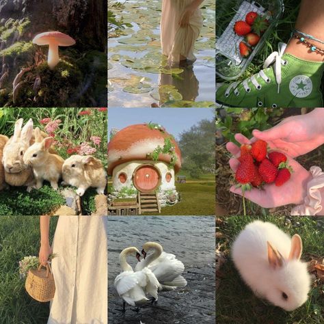 Mood Board Cottagecore, Cottagecore Moodboard Aesthetic, Animal Crossing Moodboard, Animal Moodboard, Cottagecore Moodboard, Instagram Feed Organizer, Spring Moodboard, Adopt Idea, Moodboard Inspiration