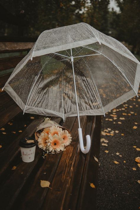 Clear Umbrella Aesthetic, Aesthetic Umbrella, Floral Umbrellas, Rainy Spring, Lace Umbrella, Clear Umbrella, Cute Umbrellas, Chic Aesthetic, Photo Insta