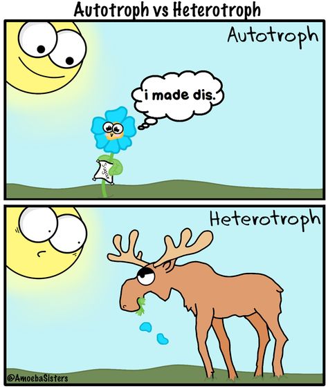 Amoeba Sisters, Biology Jokes, Biology Memes, Biology Activity, Biology Humor, Science Puns, Biology Resources, Biology Classroom, High School Biology