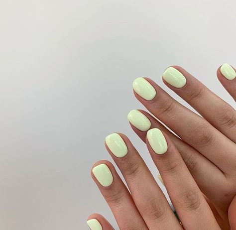 Fun Nails Colors, Short Gel Dip Nails, Summer Nails Tan Skin, Summer Toes 2023, Stars Nails, Best Summer Nail Color, Cracked Nails, Makeup Nails Designs, Nagellack Trends