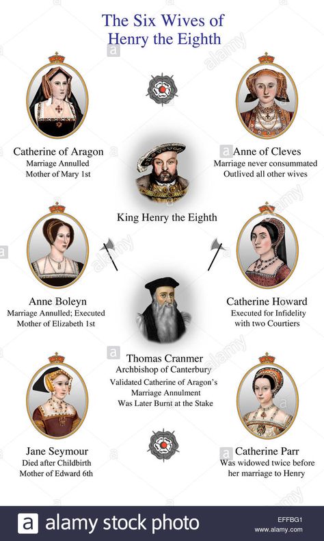 Six Wives of Henry the Eighth Henry VIII Modern Illustration Stock Photo, Royalty Free Image: 78399665 - Alamy King Henry Viii The Tudors, Henry 8th 6 Wives, Henry The Eighth Wives, 6 Wives Of Henry Viii, Six Wives Of Henry Viii, Henry Viii Wives, Henry The 8th, Henry Viii Family Tree, Henry Viii Facts