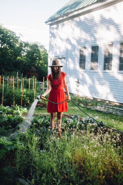 Urban Balcony, Watering The Garden, Backyard Vegetable Gardens, Garden Planner, Garden Photography, Farm Gardens, Kitchen Garden, Gardening For Beginners, Permaculture