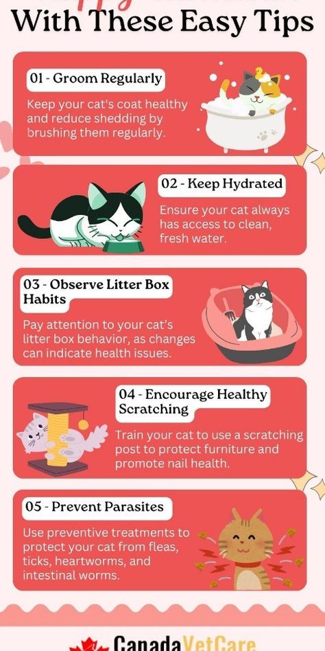 Cat Owner Hacks, Cat Hygiene, Cat Petting, Cats Happy, Health And Hygiene, Ayurvedic Healing, Cat Language, Cat Book, Outdoor Cat House