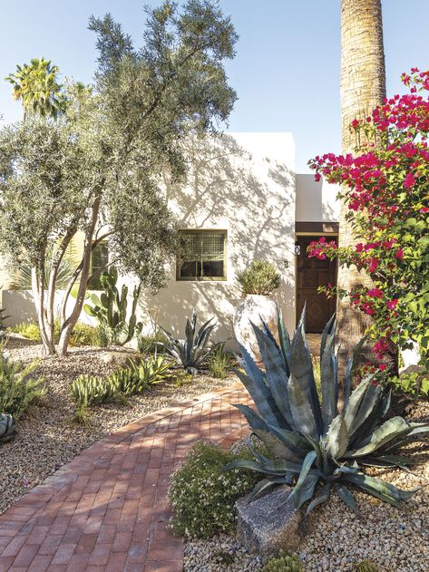 A Smaller Home Becomes a Functional Dream for a Local Interior Designer - Phoenix Home & Garden Phoenix Home And Garden, Phoenix Backyard Ideas, Front Yard Desert Landscaping Ideas, Phoenix Landscaping, Phoenix Backyard, Arizona Backyard Landscaping, Phoenix Garden, Oasis Springs, Desert Gardens