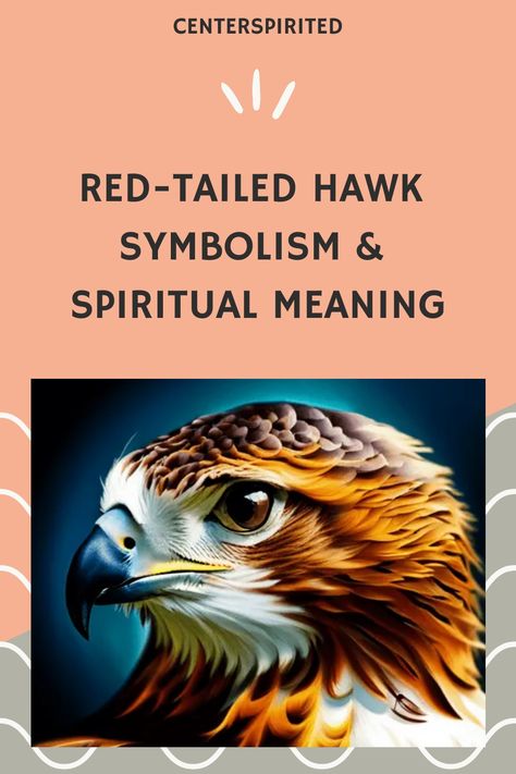 Red-tailed hawks are some of the most recognized and revered birds of prey in North America and worldwide. Not only are they amazing to watch soar through the sky with their uniquely marked wings and red tails, but many people believe this type of hawk has a deep spiritual meaning. In this blog post, we’ll explore what red-tailed hawk symbolism & spiritual meaning can teach us about balance, courage, and strength. Hawk Meaning, Hawk Symbolism, Hawk Spirit Animal, Red Tail Hawk Feathers, Cherokee Tattoos, Types Of Hawks, Hawk Species, Hawk Wings, Native History