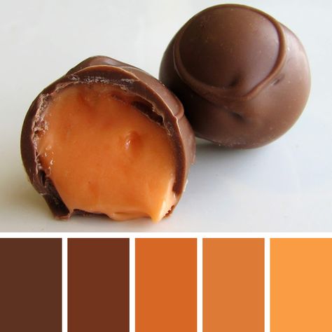 Chocolate Color Palette, Color Pallet Ideas, Milk Chocolate Truffles, Chocolate Palette, Palette Challenge, Orange Color Palettes, Color Palette Challenge, Food Inspired, Colour Combos