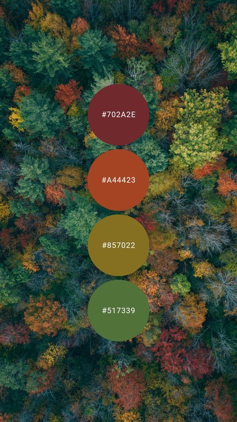 Deep autumn shades of garnet, brass, and pumpkin are bold but beautiful. Try it in the study, library, dining room, or cabin / cottage. #colourpalette #colorpalette #colour #color #palette #red #orange #green #yellowgreen #autumn #fall Fall Foliage Color Palette, Green Autumn Color Palette, Bold Autumn Color Palette, Red Orange Yellow Green Color Palette, Orange And Red Palette, Bedroom Inspirations Master Color Schemes Orange, Fall Autumn Color Palette, Fall Green Color Palette, Fall Leaves Color Palette