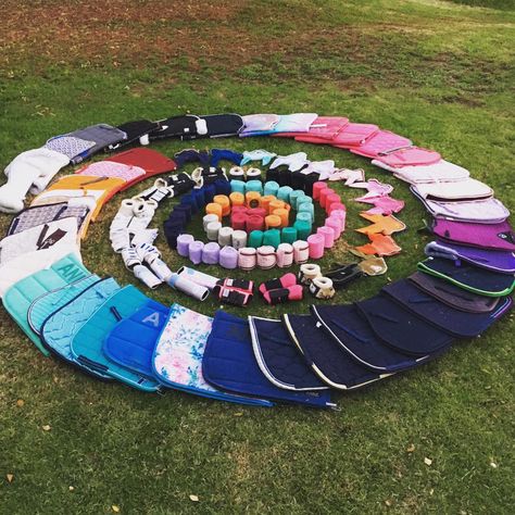 Saddle pad collection belonging to Annie Wagner from The Salt Lick http://www.saltlickequine.com Saddle Pad Collection, Saddle Pad Sets, English Horse Tack, Horse Products, Salt Lick, Equestrian Helmets, Horse Saddle Pads, Equestrian Helmet, English Horse