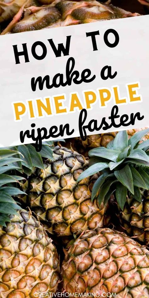 Craving fresh ripe pineapple? Accelerate the ripening process with these simple yet effective methods. Say goodbye to waiting and hello to delicious pineapple! Cooked Pineapple, Cut Pineapple, Chopped Pineapple, Ripe Pineapple, Pineapple Recipes, Pineapple Smoothie, Pineapple Upside, Pineapple Upside Down, Fruit Flies