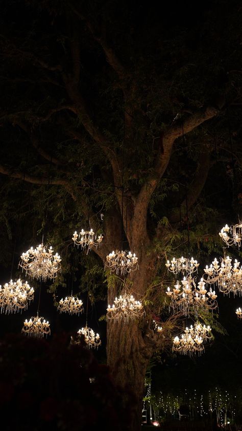 Fairy Lights In Trees, Fairy Lights Decor, Dream Wedding Reception, Lights Decor, Sewing Room Design, Tree Wedding, Reception Decor, Wire Work, Metal Wire