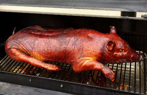 Whole smoked suckling pig. Looking for a dish to blast your holiday party into the stratosphere? Fire up your smoker and read on. Suckling Pig Recipe, Pig Roast Recipes, Roasted Hog, Pig Roaster, Bbq Pig, Spit Roast, Small Pigs, Grilling Sides, Pig Roast