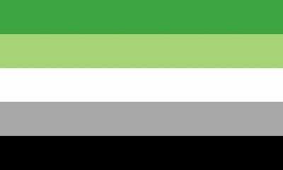 Sexuality Flags, Lgbt Flag Colors, Cat Gender, Romantic Attraction, Lgbt Flags, Lgbtqia Pride, Gay Flag, Lgbtq Flags, Lgbt Flag