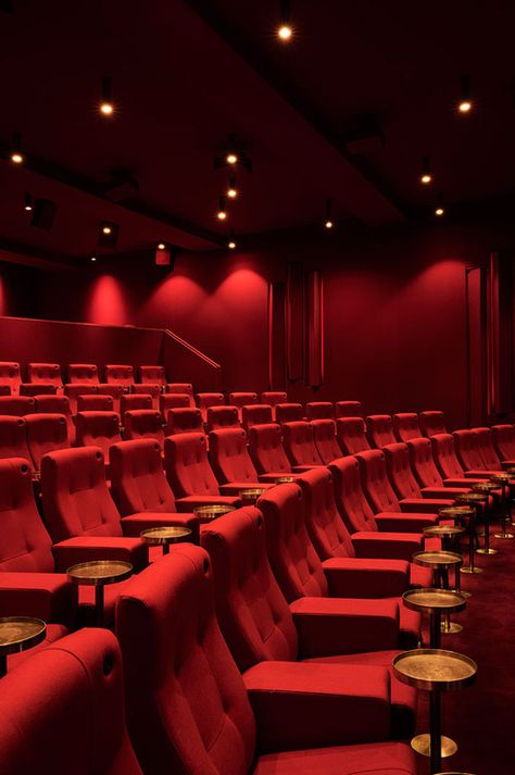 Small Recording Studio, Cinema Theme, Private Cinema, Sala Cinema, Cinema Architecture, Community Hall, Theatre Inspiration, Cinema Design, Home Cinema Room