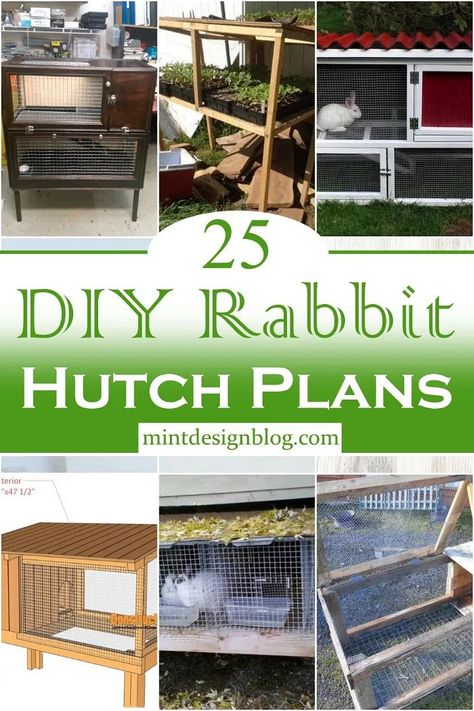 DIY Rabbit Hutch Plans Rabbit Hutch Plans, Diy Cat Shelves, Rabbit Information, Raising Rabbits For Meat, Diy Rabbit Hutch, Outdoor Rabbit Hutch, Diy Storage Bed, Happy Ideas, Bunny Hutch