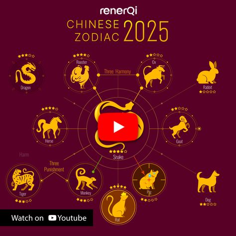 2025 Chinese Zodiac Forecast [With Detailed Summary Edition]
Preview your year 2025 with all 12 Chinese Zodiac signs.

View it : https://youtu.be/gOHEDlrgZPw

#2025chinesezodiac 12 Chinese Zodiac Signs, Dragon Horse, Chinese Astrology, 12 Zodiac, Chinese Zodiac Signs, Watch Dogs, Pet Signs, Chinese Zodiac, Astrology