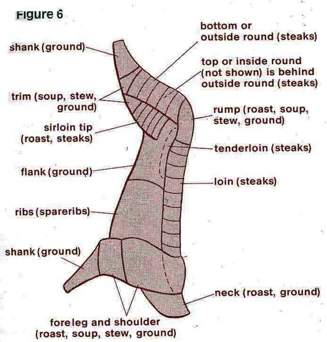 Elk cuts... I'm actually butchering an elk today believe it or not! Elk Butcher Chart, Elk Processing, Venison Processing, Deer Butchering, Beef Cuts Chart, Elk Meat, Deer Processing, Elk Recipes, Recipes Pictures