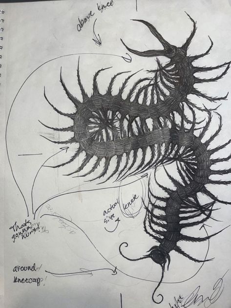 Thigh Tattoos Inspiration, Cenapead Tattoo, Thigh Tattoos Cover Up, Eldritch Tattoo Design, Cenepede Tattoo, Cenipeed Tattoo, Centepide Tattoo Drawing, Back Coverup Tattoo, Centapeid Tattoo Design