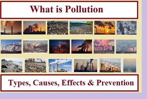 What is Pollution?, Types, Causes, Effects & Prevention, Download Handwritten Notes PDF for and Environmental Studies for class 10th, 11th, 12th & Competition. What Is Pollution, Types Of Pollution, Best Facial Hair Removal, Types Of Waste, Pollution Prevention, Liquid Waste, Marine Pollution, Types Of Diseases, Environmental Studies