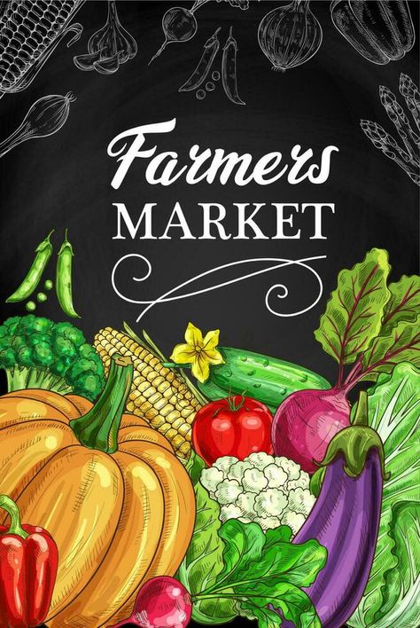 Farmers market vegetables chalkboard vector banner Vegetable Shop Design Ideas, Vegetable Market Design, Shop Board Design, Gardening Infographic, Rustic Branding, Fruit Stall, Farm Vector, Vegetable Market, Farmers Market Sign