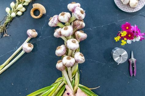 Learn to braid garlic for storage and have flavorful — and beautiful — homegrown garlic at your fingertips well into winter. Braid Garlic, Types Of Garlic, Learn To Braid, Curing Garlic, When To Plant Garlic, Harvest Garlic, Garlic Growing, How To Dry Flowers, Store Garlic