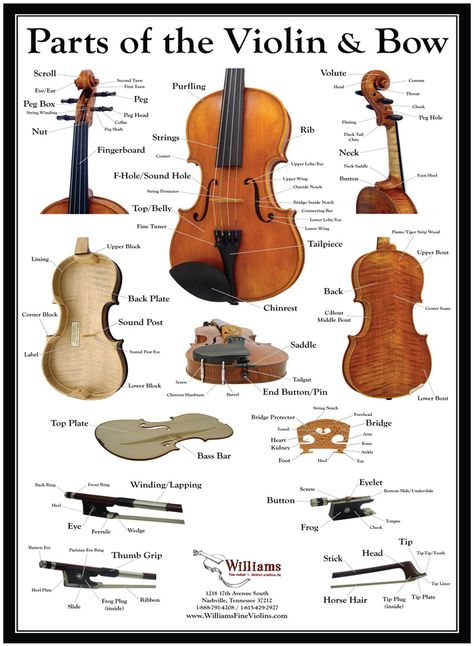 Parts Of The Violin, Orchestra Teacher, Violin Teaching, Violin Practice, Music Theory Worksheets, Violin Makers, Violin Art, Violin Design, Violin Parts