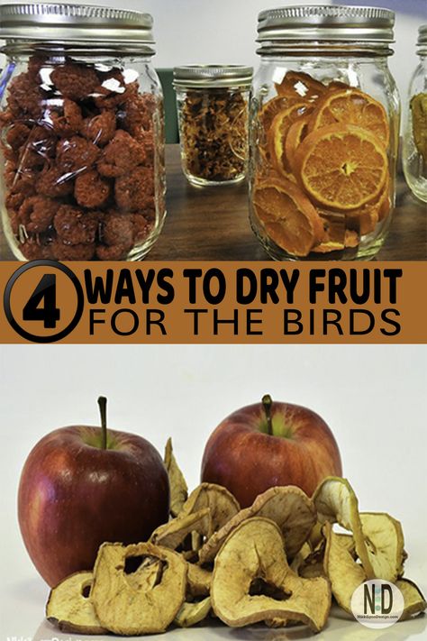 Use one of the 3 ways to dry fruit for the birds is a way to use fruits that are past their prime but will be a special treat for your feathered friends. Nut Mix Recipe, Sun Oven, Feed The Birds, Bird Treats, Dried Berries, Dried Lemon, Dehydrated Fruit, Dry Fruit, For The Birds