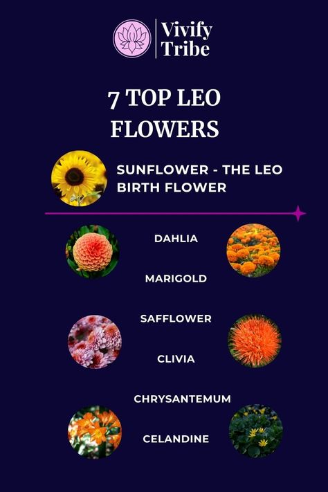 The Best Flowers For Leo: What's Their Birth Flower?Explore the Sunflower as Leo's birth flower, embodying vibrancy, loyalty, and creativity. Then delve into how it mirrors Leo's spirit, enhancing optimism and leadership, and symbolizing the warmth and generosity inherent to this zodiac sign. Sign Flowers Zodiac, Leo Birth Flower, Zodiac Signs Flowers, Leo Zodiac Flower, Leo Flower, Fire Zodiac Signs, Leo Zodiac Crystals, Fire Zodiac, Leo Characteristics