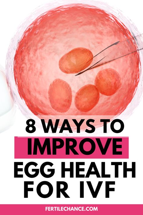 IVF image and the words "8 ways to improve egg health for IVF" How To Increase Egg Quality, Egg Quality Fertility Improve, Ivf Egg Retrieval Tips, Improve Egg Quality Fertility, Fertility Massage Self, Egg Retrieval Ivf, Fertility Massage, Ivf Preparation, Ivf Egg Retrieval