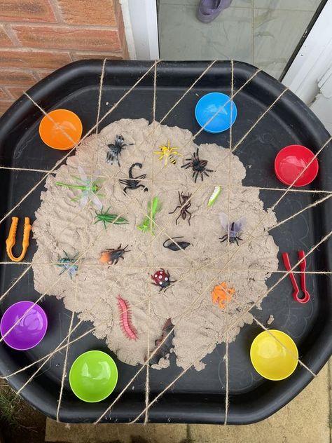 Easy Toddler and Preschool Activities | Rescue the bugs! 🐛 🐝🪲 | Facebook Autumn Eyfs Activities, Bug Activities, Spiders Web, Primary Teacher, Sensory Bags, Fine Motor Activity, Eyfs Activities, Toddler Arts And Crafts, Tuff Tray