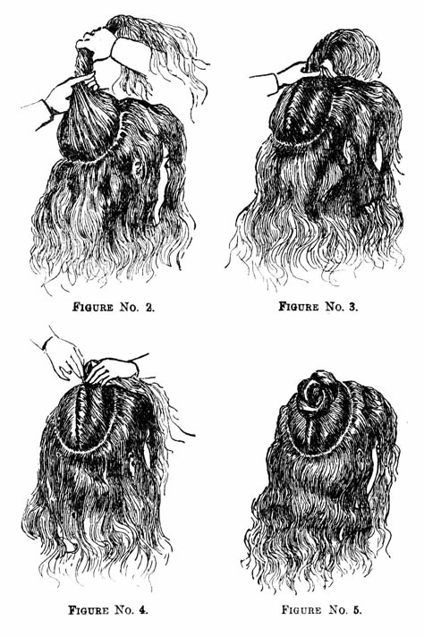 1890 hairstyles and combs 1890 Hairstyles, 1890s Hairstyles, 1890s Hair, 1800s Hair, 1800s Hairstyles, Victorian Ideas, Historical Hairstyles, Hairstyles Tutorial, Victorian Hairstyles