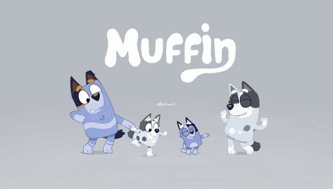 Muffin And Socks Bluey, Bluey Wallpaper Backgrounds Laptop, Bluey Socks Heeler, Muffin From Bluey, Muffin And Socks, Bluey Socks, Muffin Heeler, Muffin Bluey, Bluey Muffin