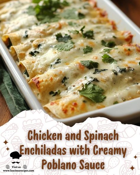 Food Recipes Around the World 🍕 | Chicken and Spinach Enchiladas with Creamy Poblano Sauce | Facebook Chicken Poblano Enchiladas, Chicken And Spinach Enchiladas, Luscious Recipes, Creamy Enchilada, Spinach Enchiladas, Poblano Sauce, Recipes Authentic, Chicken And Spinach, Recipes Around The World