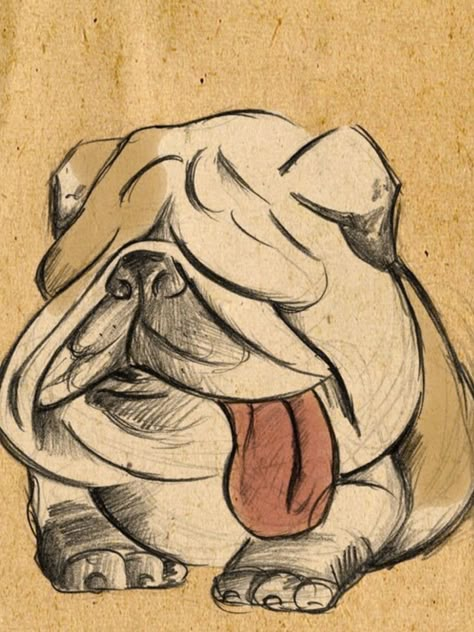 Cute Animal Drawing Ideas, Funny Animal Drawings, Hispanic Names, Bulldog Drawing, Portraits Pop Art, Baggy Bulldogs, Dog Character, 얼굴 그리기, Bulldog Art