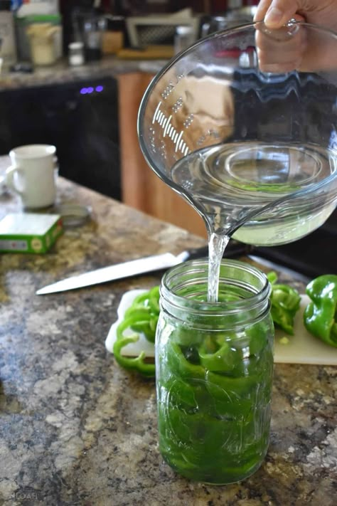 How To Store Peppers, Canning Bell Peppers, Freezing Bell Peppers, Canning Peppers, Canned Jalapenos, Canning Peaches, Pressure Canning Recipes, Canning Process, Home Canning Recipes