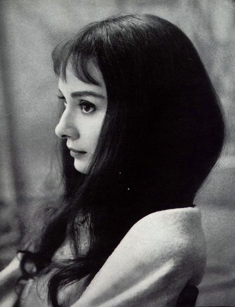 Long Dark Hair & Bangs (Audrey Hepburn) Audrey Hepburn Hair, Audrey Hepburn Born, Aubrey Hepburn, Audrey Hepburn Photos, Audrey Hepburn Quotes, Jane Russell, Audrey Hepburn Style, Gene Kelly, Mae West