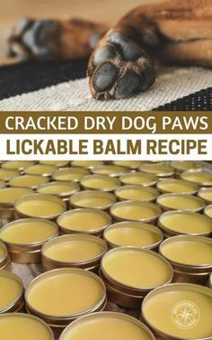 Diy Dog Paw Balm, Dog Paw Moisturizer, Dry Dog Paws, Dog Paw Wax, Lou Dog, Dog Paw Balm, Paw Wax, Dogs Diy Projects, Balm Recipe