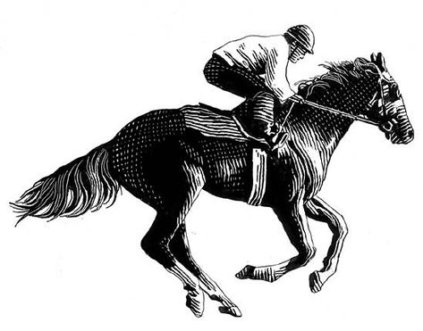 Horse Reining, Derby Horse, Eventing Horses, Horse Illustration, Horse Trainer, Horse Logo, All About Horses, Horse Drawing, Horse Drawings