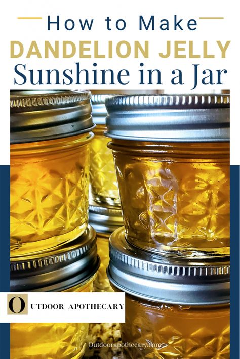 I'm going to share with you a super simple recipe for dandelion jelly that has become an early spring favorite in my family. In fact, I like to put up a few jars to open in the winter months as a little reminder that spring isn't really that far away.Continue Reading Edible Flowers Recipes, Wild Food Foraging, Foraging Recipes, Dandelion Jelly, Jam And Jelly, Jelly Recipes, Dandelion Recipes, Wild Edibles, Flower Food