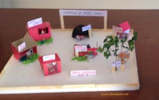 Animals And Their Homes, School Project, Travel Stories, School Projects, Usb Flash Drive, Home Art, Education, Lifestyle, Animals