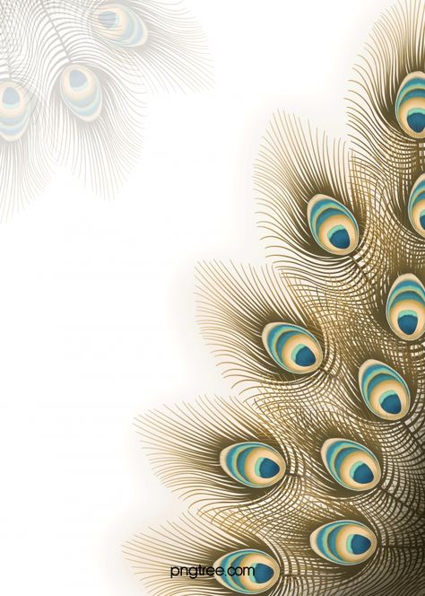 Peacock Wallpaper Backgrounds, Peacock Feather Border Design, Peacock Black Background, Peacock Background, Peacock Feathers Wallpaper, Peacock Feather Background, Peacock Feather Background Wallpapers, Peacock Feathers Wallpaper Hd, Wallpaper Of Peacock Feather