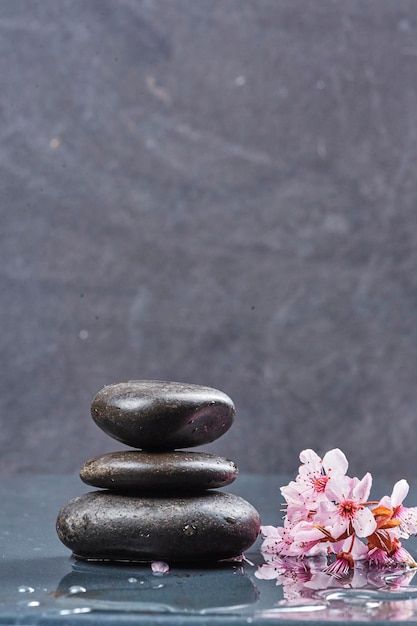 Free Pictures To Use, Zen Background, Spa Images, Vertical Background, Zen Pictures, Mystic Illustration, Instagram Branding Design, Background Space, Spa Interior