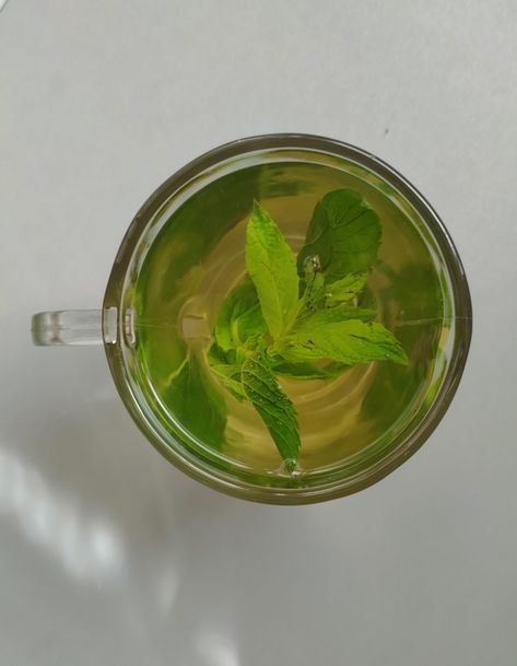 Lovely mint leaves Mint Leaf Aesthetic, Mint Leaves Aesthetic, Spearmint Aesthetic, Mint Tea Aesthetic, Tea Flowers, Manifesting Vision Board, Healthy Drink, Mint Tea, Flower Tea