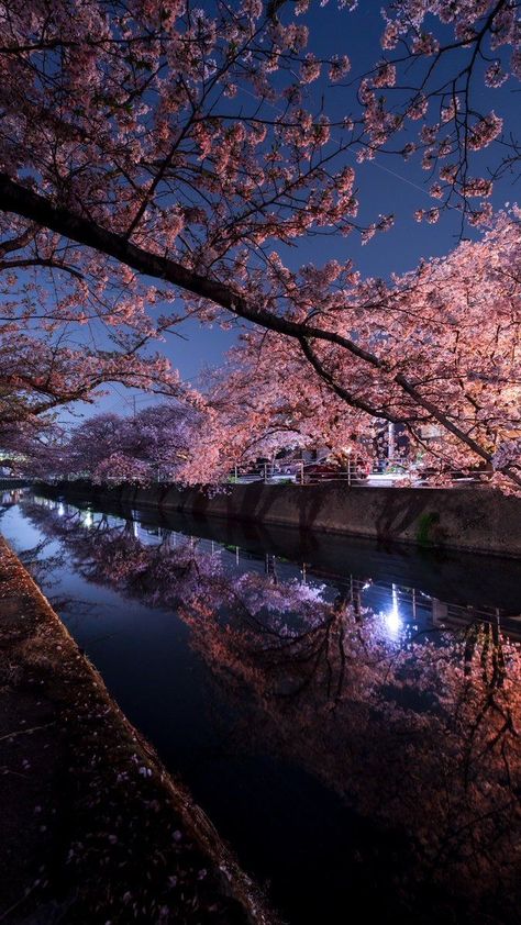 Cherry Blossom Japan, Glittery Wallpaper, Pretty Landscapes, Japan Aesthetic, Aesthetic Japan, Beautiful Locations Nature, Pretty Wallpapers Backgrounds, City Aesthetic, Beautiful Places To Travel