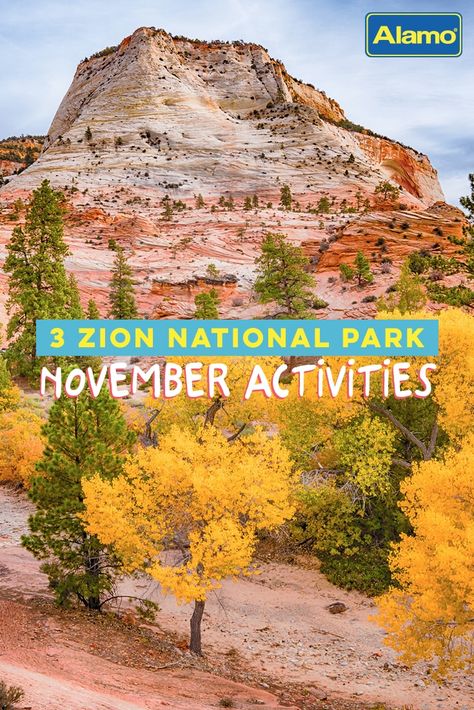 The natural beauty of Utah’s Zion National Park is unmatched, and November visitors are in for a special seasonal treat. Zion welcomes dozens of landscape artists to share their aesthetic talents in real time at its annual Plein Air Art Invitational in November, alongside other unique autumn opportunities for hiking, biking and stargazing — all without the heat and crowds of the busy summer season. Discover our top three can’t-miss November activities at Zion! Zion In November, Zion National Park In November, Utah In November, Zion National Park Camping, Zion Camping, Zion National Park Photography, Narrows Zion National Park, Zion National Park Hikes, Park Activities