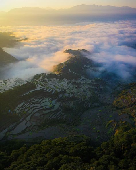 More than just beaches, the Philippines offers a variety of natural landscapes that are a feast for the senses Photo: @palaboynamangyan #BeholdPH #mtkupapey #hikingph #globetrekker #mountainhike #seaofclouds #mountainviews #travelphilippines #chooseph #bontoc Natural Landscapes, The Senses, Mountain Hiking, Enjoy Nature, The Philippines, Mountain View, Philippines, Travel, Nature